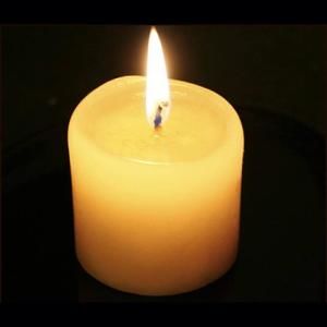 Meet your Posher, Joe joe